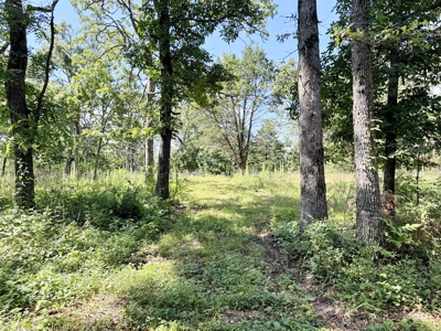 St. Clair County MO Recreational Land for Sale, 108 Acres - image 30