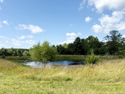 St. Clair County MO Recreational Land for Sale, 108 Acres - image 12