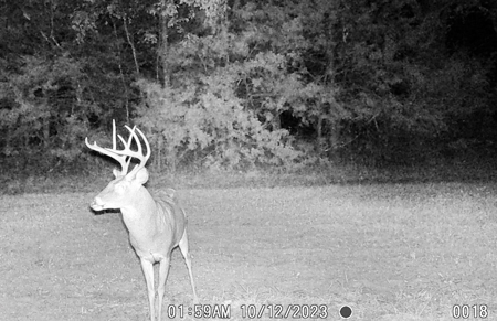 St. Clair County MO Recreational Land for Sale, 108 Acres - image 26