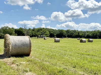 St. Clair County MO Recreational Land for Sale, 108 Acres - image 48