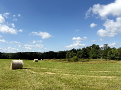 St. Clair County MO Recreational Land for Sale, 108 Acres - image 6