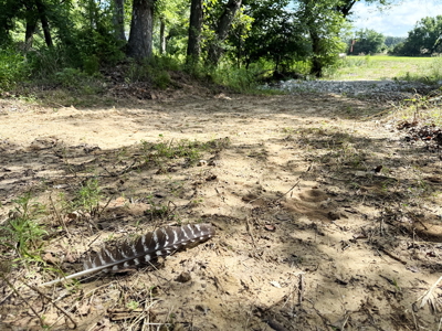 St. Clair County MO Recreational Land for Sale, 108 Acres - image 39