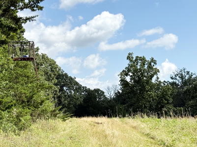 St. Clair County MO Recreational Land for Sale, 108 Acres - image 43
