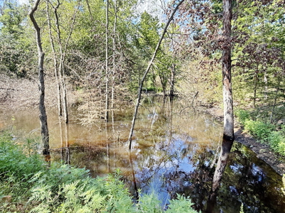 St. Clair County MO Recreational Land for Sale, 108 Acres - image 33