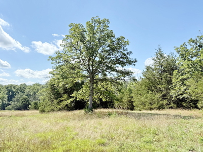 St. Clair County MO Recreational Land for Sale, 108 Acres - image 47