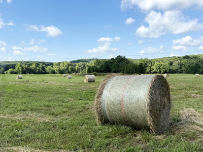 St. Clair County MO Recreational Land for Sale, 108 Acres - image 5