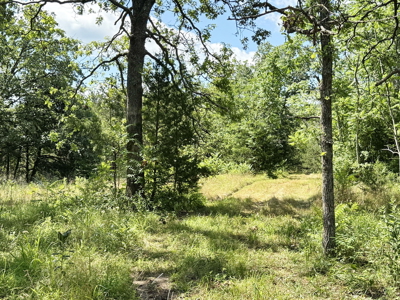 St. Clair County MO Recreational Land for Sale, 108 Acres - image 31