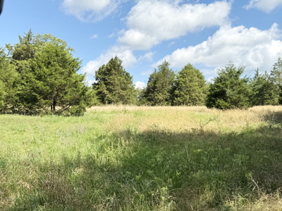 St. Clair County MO Recreational Land for Sale, 108 Acres - image 38