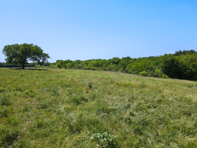 Land for Sale Montague County Homes Ranch Properties Texas - image 16