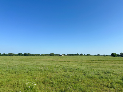 Ranch for Sale Montague County Texas Hunting Land Properties - image 31