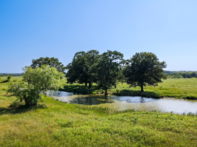 Ranch for Sale Montague County Texas Hunting Land Properties - image 13