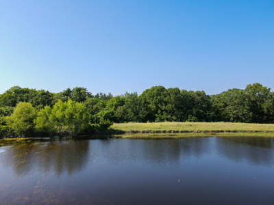 Ranch for Sale Montague County Texas Hunting Land Properties - image 23