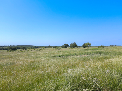 Ranch for Sale Montague County Texas Hunting Land Properties - image 2
