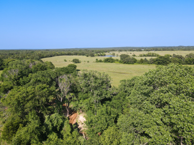 Ranch for Sale Montague County Texas Hunting Land Properties - image 26