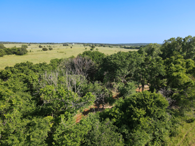 Ranch for Sale Montague County Texas Hunting Land Properties - image 27