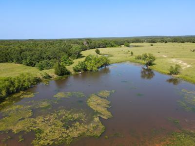 Ranch for Sale Montague County Texas Hunting Land Properties - image 17
