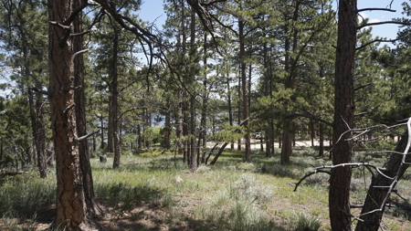 Colorado Commercial Propertuy - image 8