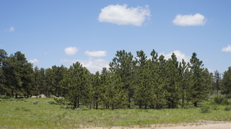 Colorado Commercial Propertuy - image 4