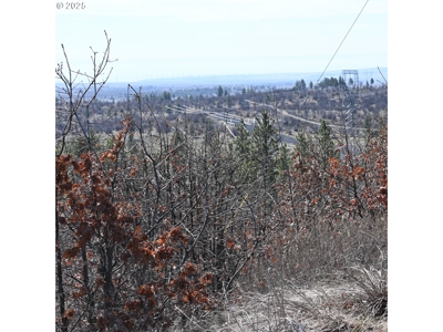 20 Acres with Cabin, Creek, in Klickitat County, Near Bickleton - image 6