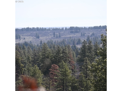 20 Acres with Cabin, Creek, in Klickitat County, Near Bickleton - image 3