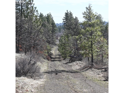 20 Acres with Cabin, Creek, in Klickitat County, Near Bickleton - image 1