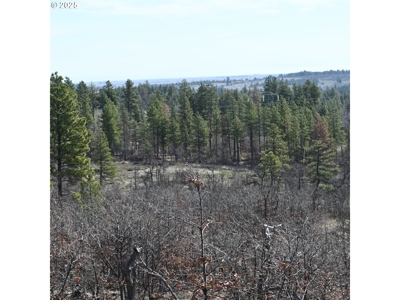 20 Acres with Cabin, Creek, in Klickitat County, Near Bickleton - image 2