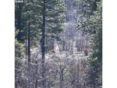20 Acres with Cabin, Creek, in Klickitat County, Near Bickleton - image 4