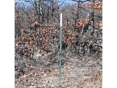 20 Acres with Cabin, Creek, in Klickitat County, Near Bickleton - image 7