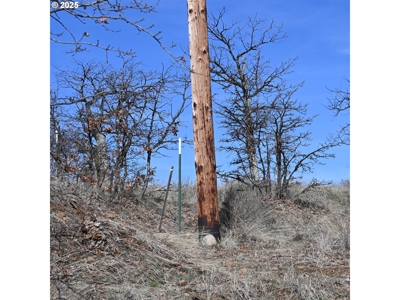 20 Acres with Cabin, Creek, in Klickitat County, Near Bickleton - image 10