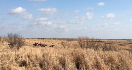 Land for Sale Henrietta Clay County North Texas Ranches - image 44