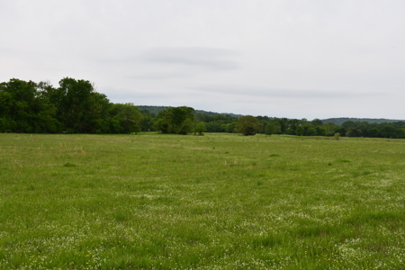 Ridgeview Estates, Leflore County's Newest Subdivision - image 3
