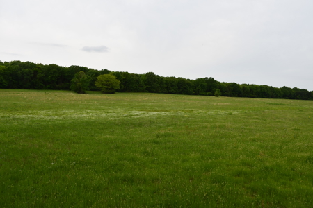 Ridgeview Estates, Leflore County's Newest Subdivision - image 8
