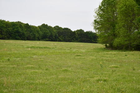 Ridgeview Estates, Leflore County's Newest Subdivision - image 10