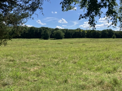 Ridgeview Estates, Leflore County's Newest Subdivision - image 1