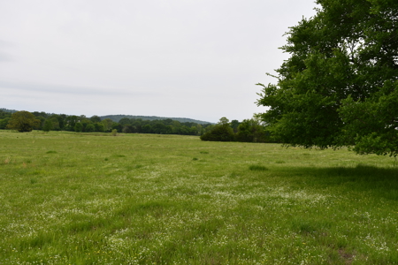Ridgeview Estates, Leflore County's Newest Subdivision - image 4