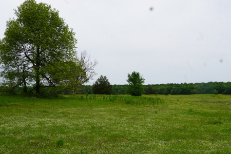 Ridgeview Estates, Leflore County's Newest Subdivision - image 37