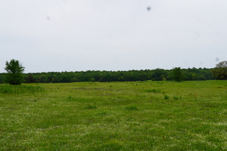Ridgeview Estates, Leflore County's Newest Subdivision - image 36