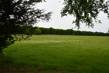 Ridgeview Estates, Leflore County's Newest Subdivision - image 5