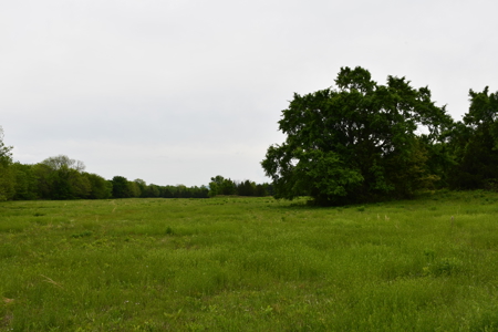 Ridgeview Estates, Leflore County's Newest Subdivision - image 13