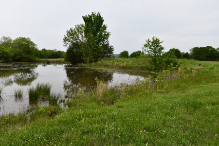 Ridgeview Estates, Leflore County's Newest Subdivision - image 25