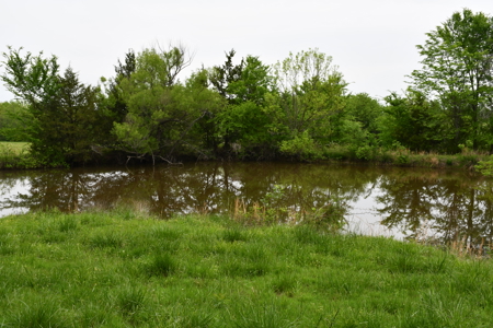 Ridgeview Estates, Leflore County's Newest Subdivision - image 14
