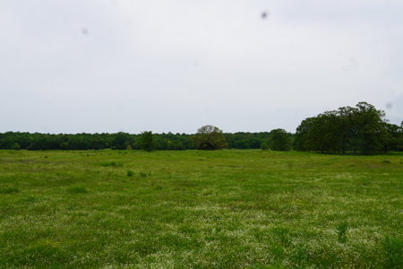 Ridgeview Estates, Leflore County's Newest Subdivision - image 35