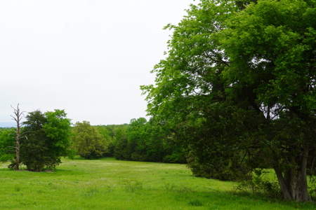 Ridgeview Estates, Leflore County's Newest Subdivision - image 32