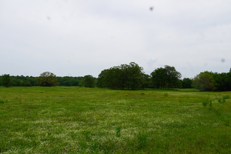 Ridgeview Estates, Leflore County's Newest Subdivision - image 34