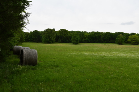 Ridgeview Estates, Leflore County's Newest Subdivision - image 7