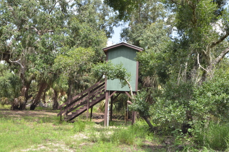 Beautiful secluded Creekside Stilt Cabin in Arcadia, Florida! - image 16