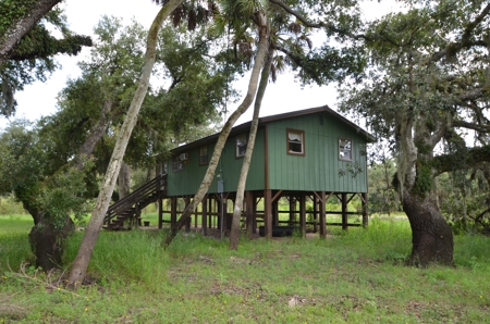 Beautiful secluded Creekside Stilt Cabin in Arcadia, Florida! - image 3
