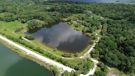 Beautiful secluded Creekside Stilt Cabin in Arcadia, Florida! - image 25