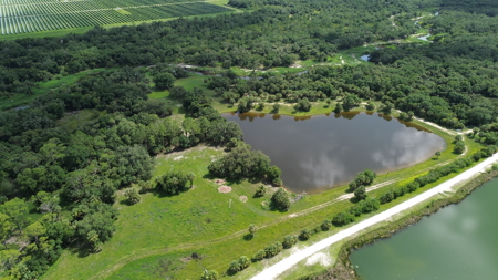 Beautiful secluded Creekside Stilt Cabin in Arcadia, Florida! - image 27
