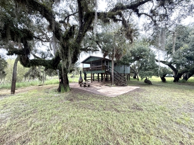 Beautiful secluded Creekside Stilt Cabin in Arcadia, Florida! - image 37